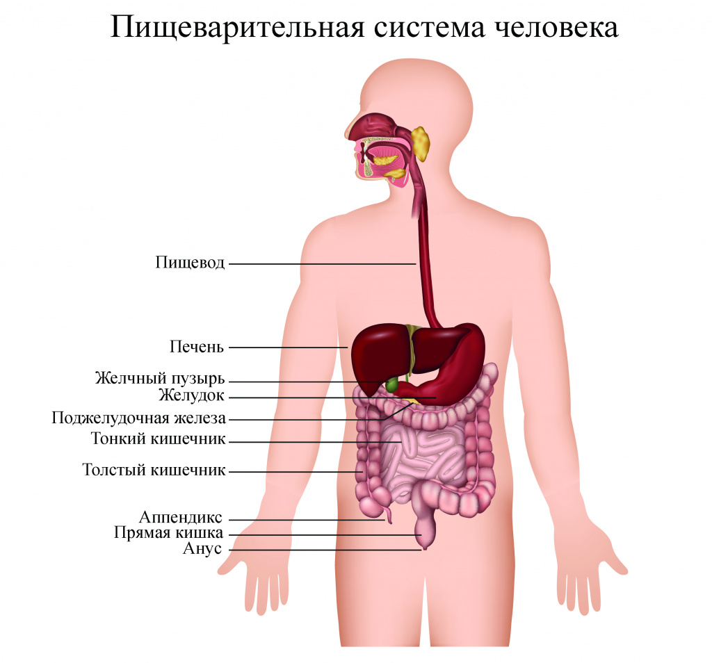 Рак печени