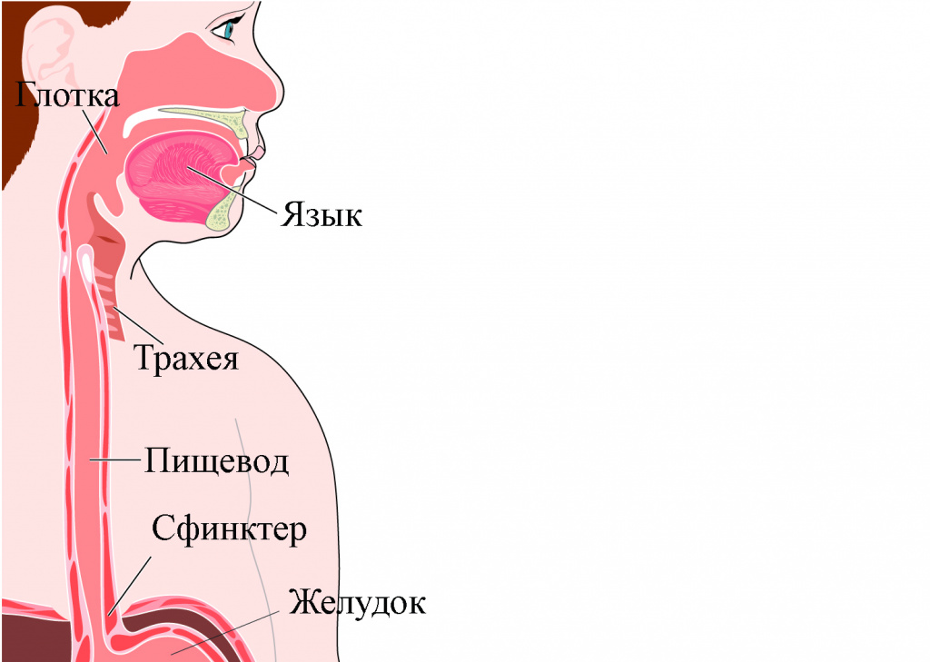 Рак пищевода симптомы и проявления у мужчин. Рубцы на пищеводе лечение лазером.