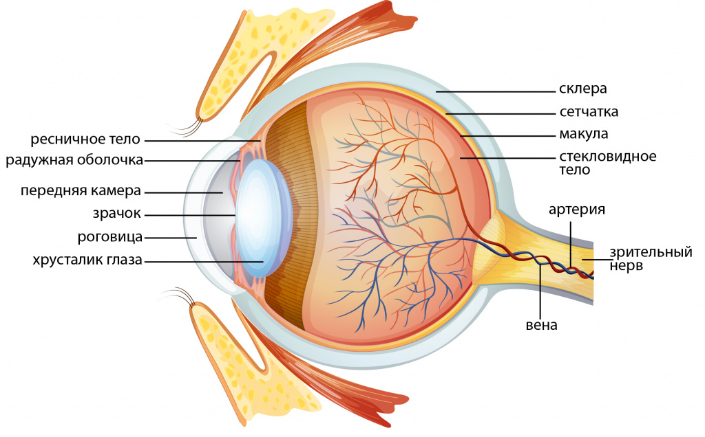 Признаки и симптомы рака глаз.
